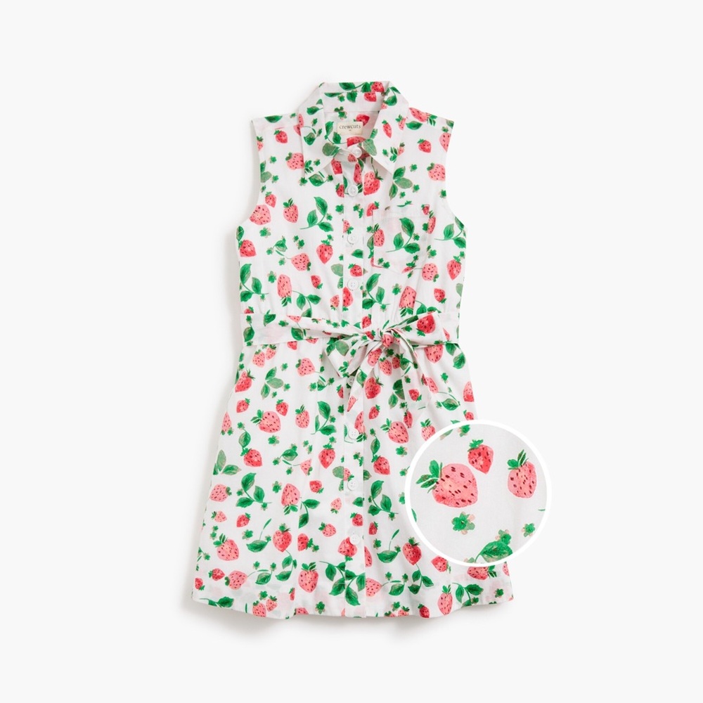 Crewcuts Strawberry Print dress